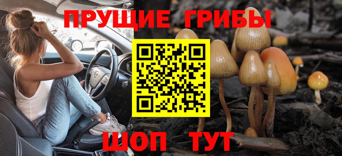 Псилоцибиновые грибы Magic Shrooms Полевской
